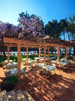 Hotel Hotel Aurora Plava Laguna dovolenka