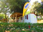 Hotel ORSERA CAMPING RESORT dovolená