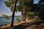 Malinska Green apartmány - Malinska (ostrov Krk) -  101 CK Zemek - Chorvatsko