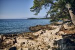 Malinska Green apartmány - Malinska (ostrov Krk) -  101 CK Zemek - Chorvatsko