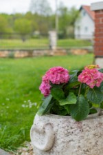 Hotel APARTMÁNY 3298-3982 dovolená