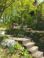 Hotel PRÁZDNINOVÝ DŮM 3298-5729 dovolená