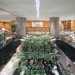 Čína, HongKong, Pevninská část, Čína, HongKong, Pevninská část - THE KIMBERLEY HOTEL