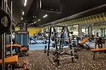 Fitnesz