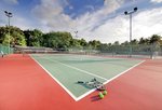 Tenis