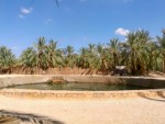 Egypt - Muhoasis - poznávací zájezd s odpočinkem u moře v Marsa Matruh