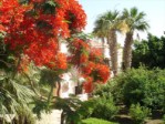 Egypt, Hurghada, Hurghada - AL MASHRABIYA BEACH RESORT