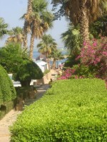 Egypt, Hurghada, Hurghada - AL MASHRABIYA BEACH RESORT