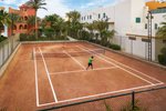 Tenis