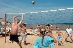 Volejbal