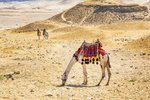 Poznejte Egypt s CK Geovita