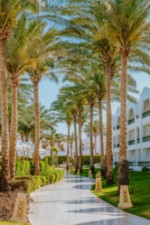 Hotel Baron Palms Resort dovolenka