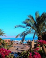 Egypt, Sinaiský poloostrov, Sharm El Sheikh - HAUZA BEACH