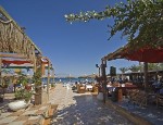 (Egypt, Sinaiský poloostrov, Sharm El Sheikh) - KAHRAMANA