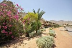 Egypt, Sinaiský poloostrov, Taba - HELNAN TABA BAY