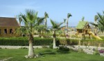 (Egypt, Sinaiský poloostrov, Taba) - SWISS INN DREAM RESORT