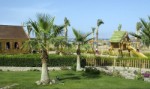 (Egypt, Sinaiský poloostrov, Taba) - SWISS INN DREAM RESORT