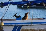 Hotel Ekvádor, Galapágy a Amazonie dovolená