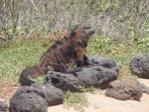 Hotel Ekvádor, Galapágy a Amazonie dovolená