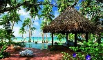 Fidži, Taveuni Island, Taveuni Island - Laucala Island - Zahrada