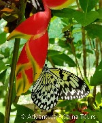 Hotel Filipíny na kole dovolená