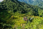 Filipíny, Luzon, Manila - To nejlepší z Filipín + rýžové terasy + nejkrásnější pláže světa (letecky z Prahy)