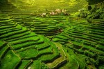 Filipíny, Luzon, Manila - To nejlepší z Filipín + rýžové terasy + nejkrásnější pláže světa (letecky z Prahy)