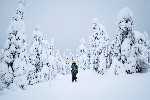 Zimní trek ve Finsku