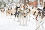 (Finsko, Jižní Finsko, Jižní Finsko) - Adventní Helsinky s návštěvou vesnice Santa Clause