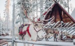 (Finsko, Jižní Finsko, Jižní Finsko) - Adventní Helsinky s návštěvou vesnice Santa Clause