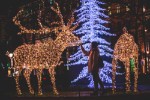 (Finsko, Jižní Finsko, Jižní Finsko) - Adventní Helsinky s návštěvou vesnice Santa Clause