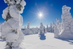 Zasněžená zimní krajina v Laponsku