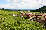 (Francie) - Alsasko a Schwarzwald, zážitky na vinné stezce