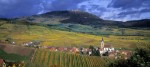 Francie - Alsasko, pohádka nejen o víně, slavnost trubačů