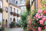 Hotel Francie - Alsasko a Lotrinsko dovolená