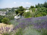 Provence 3