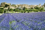 Hotel FRANCIE - JARNÍ BARVY PROVENCE dovolená