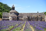Hotel Levandulová Provence plná barev a vůní dovolená