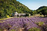 Hotel Provence - kouzelný svět levandule a antiky dovolená