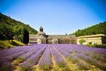 Provence_Senanque_2_Radynacestu_Pavel_Spurek.jpg
