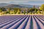 Hotel Francie - Provence, vůně levandule dovolená