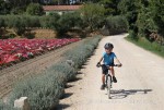 Hotel Provence na kole v pohodě dovolená