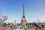 Paříž - Eiffel Tower