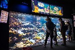 Pariz_aquarium (7).jpg