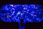 Pariz_aquarium (6).jpg