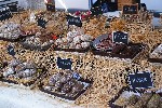 Lyon gastronomie