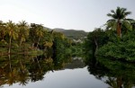 Přírodu na ostrově Guadeloupe musíte vidět.jpg