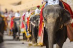 Sloni u pevnosti Drajpuru