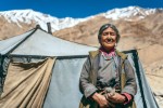 kočovníci Ladakh