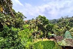 Bali 2 (1) - kopie_245650.jpg